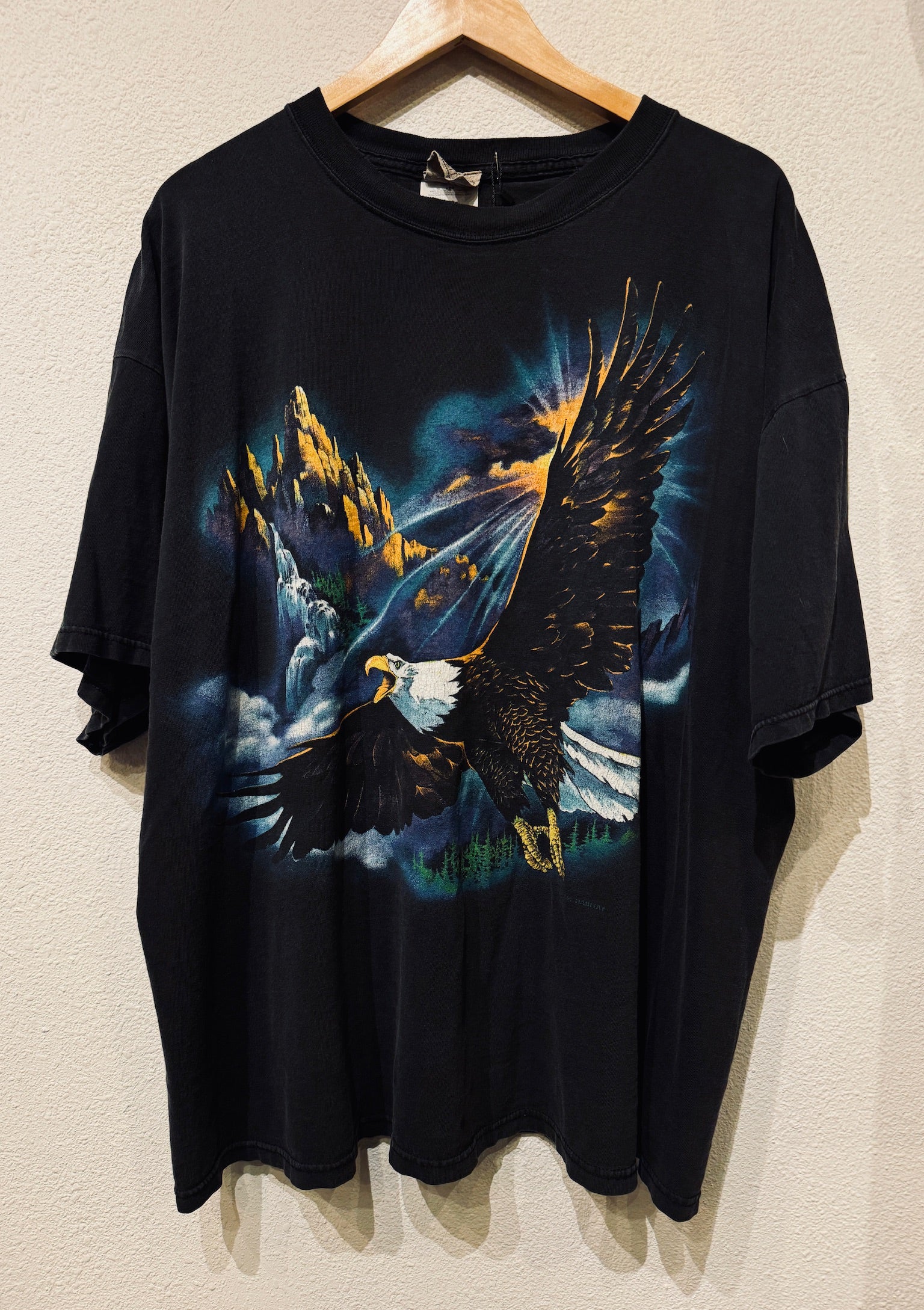 Eagle Mountains Vintage Tee