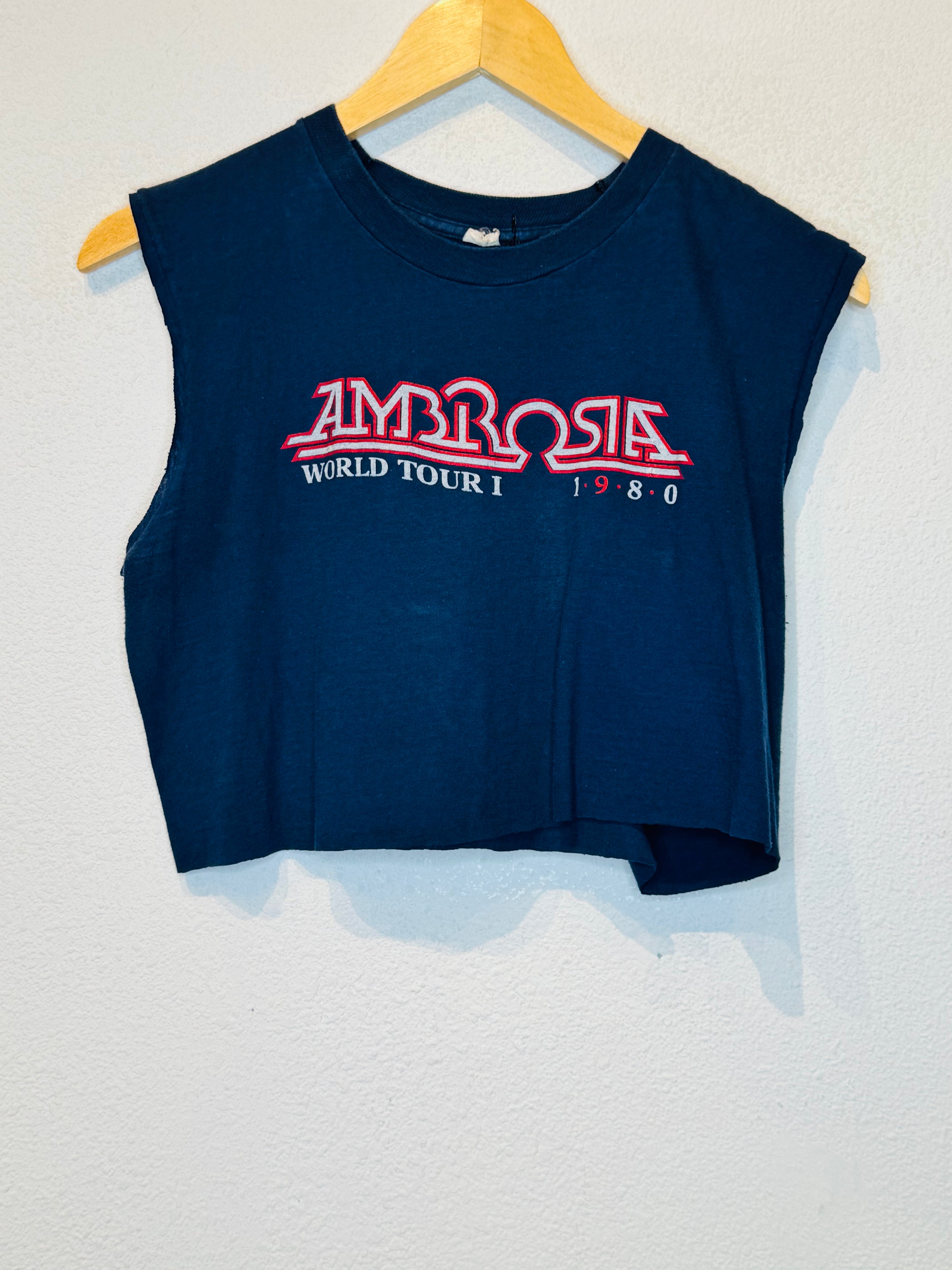 Ambrosia Vintage Crop Tank