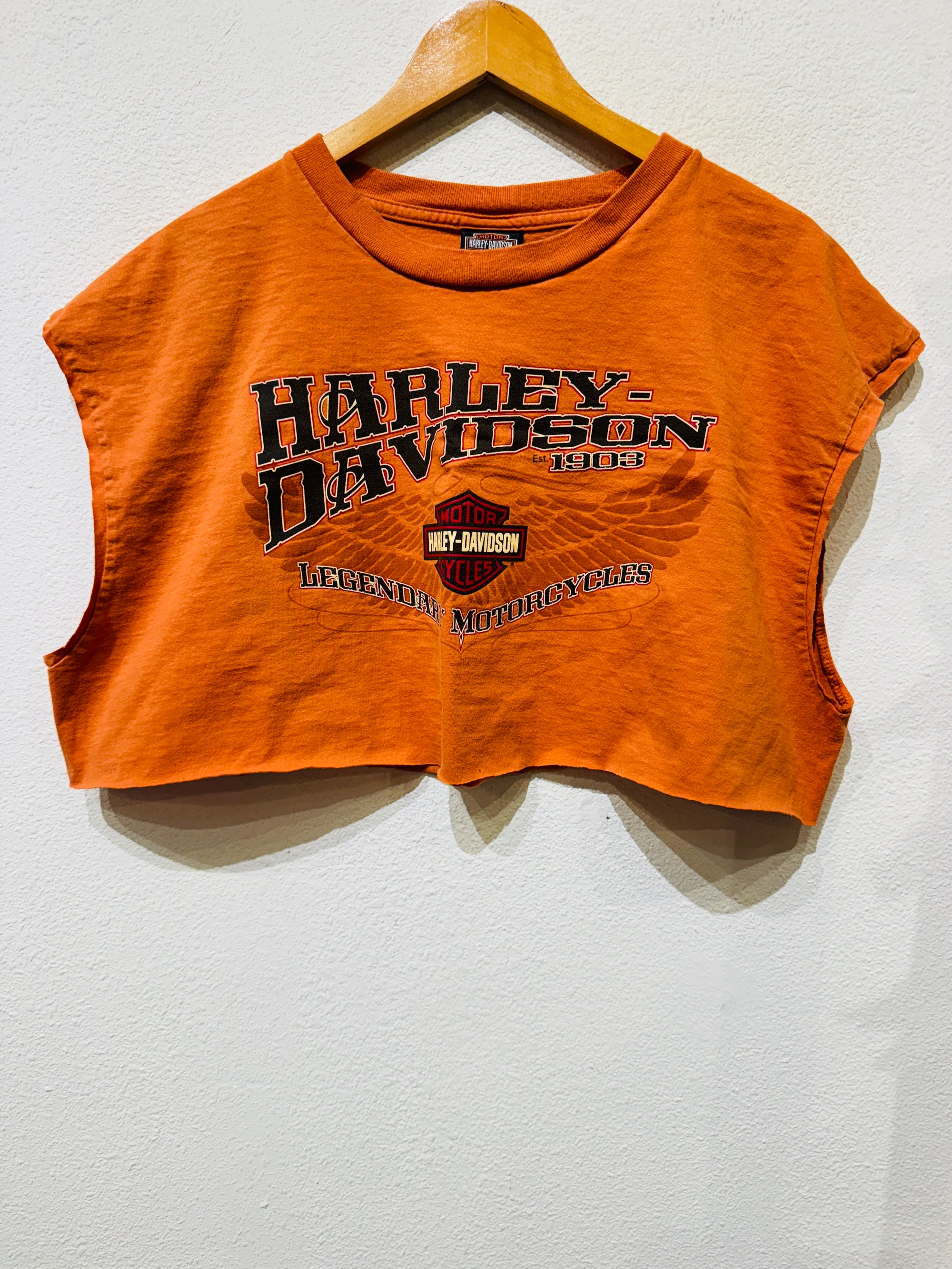 Salt Lake Harley Vintage Crop Tank