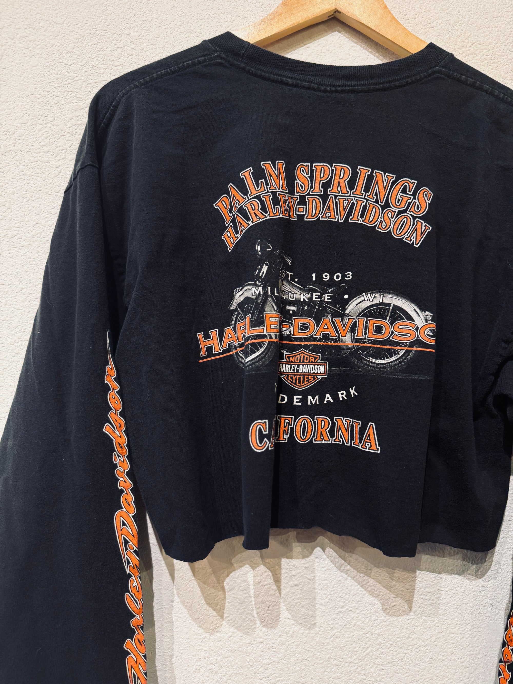 Palm Springs Harley Crop Vintage Long Sleeve