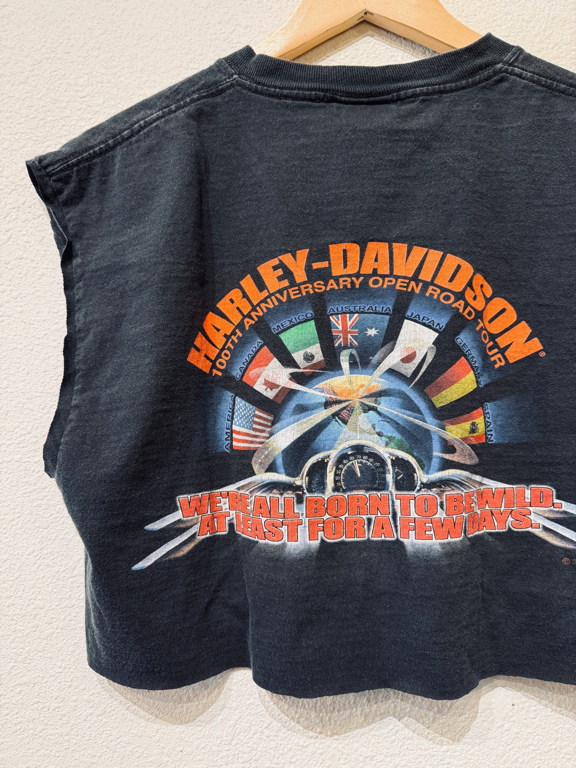 Born Wild Harley Vintage Crop Tank