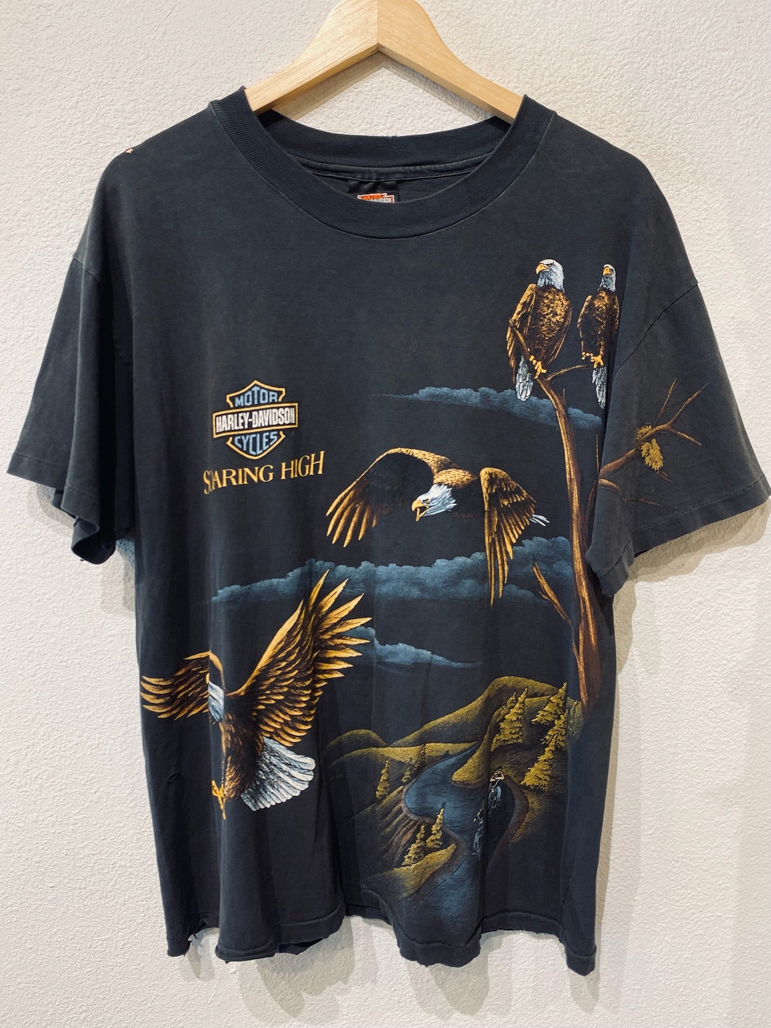 Soaring High Eagles Harley Vintage Tee
