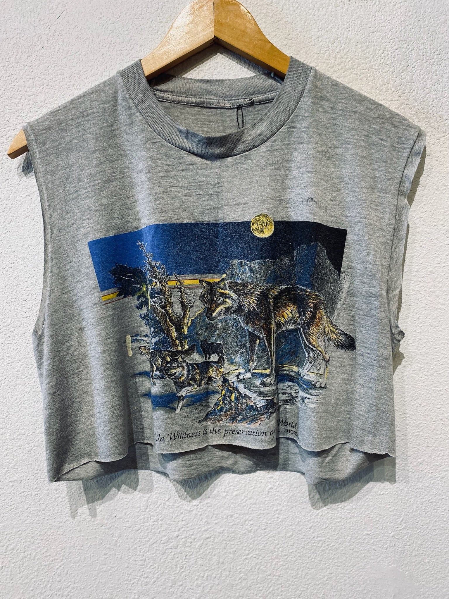 Wildness Vintage Crop Tank