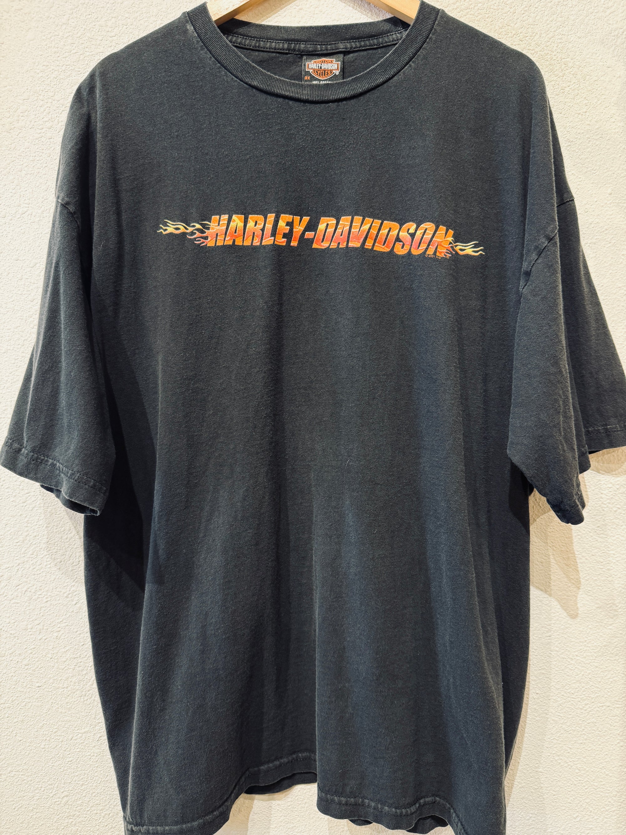 Alaska Harley Vintage Tee