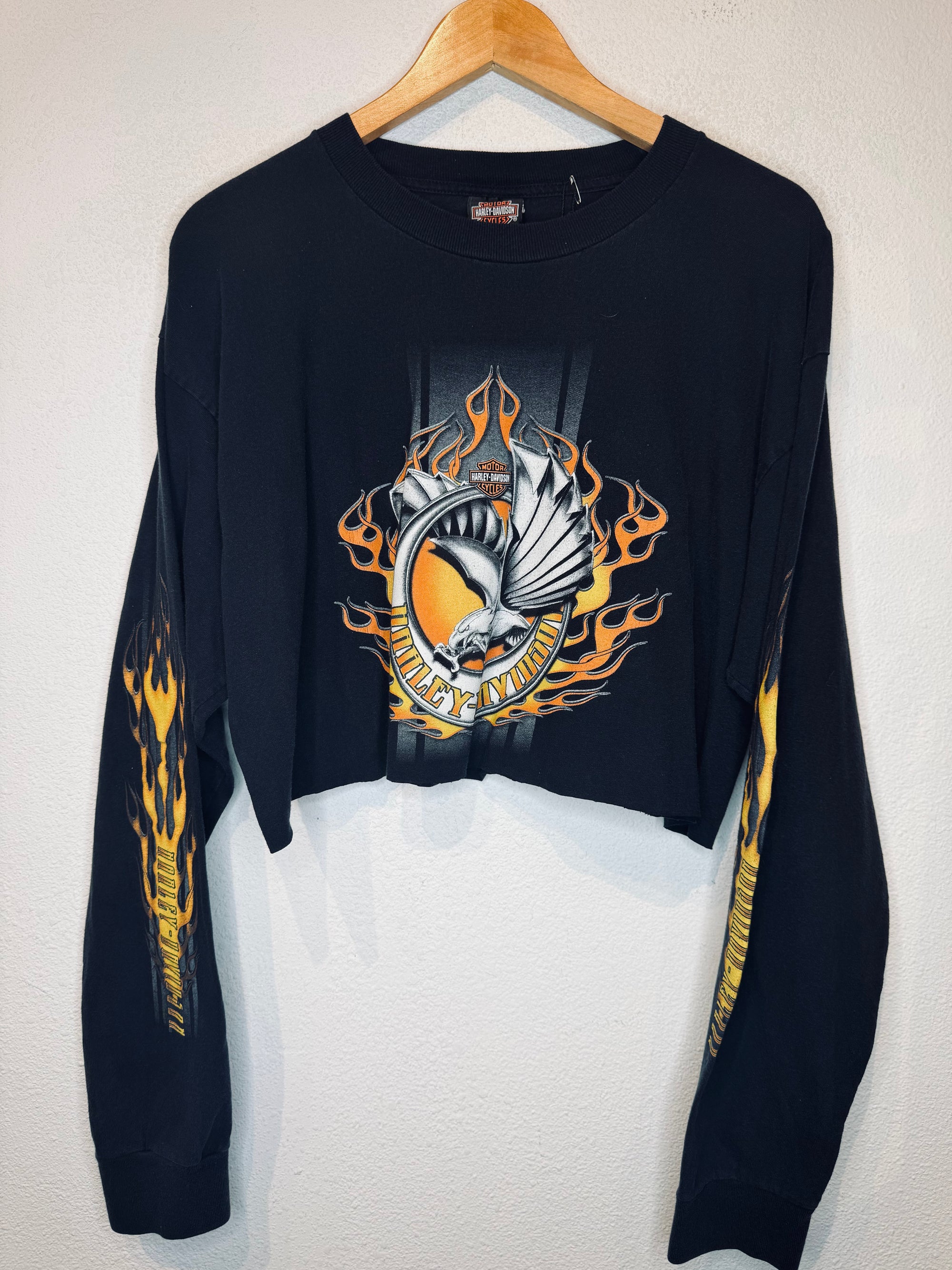 Blue Ridge Harley Vintage Crop Long Sleeve
