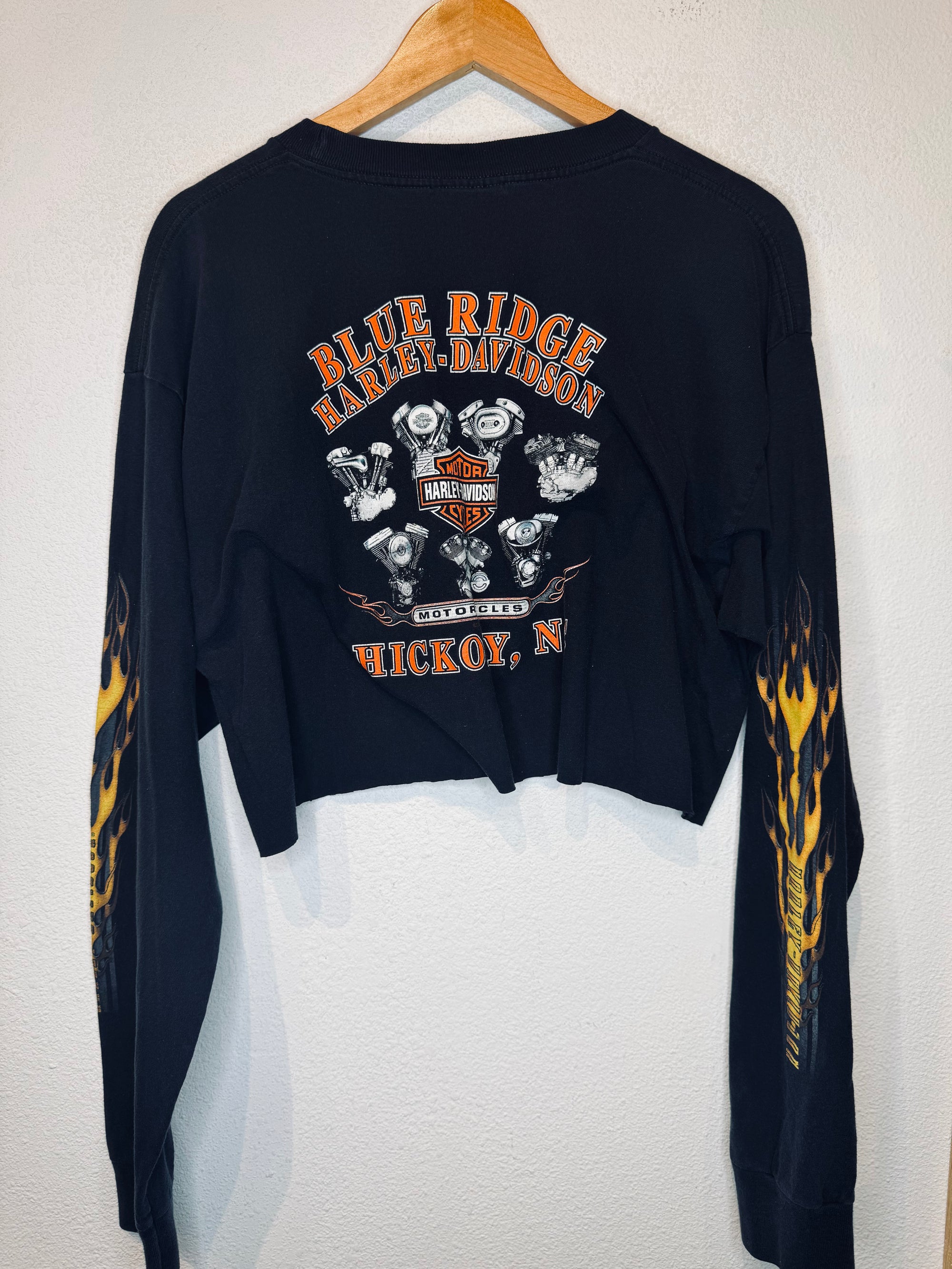 Blue Ridge Harley Vintage Crop Long Sleeve