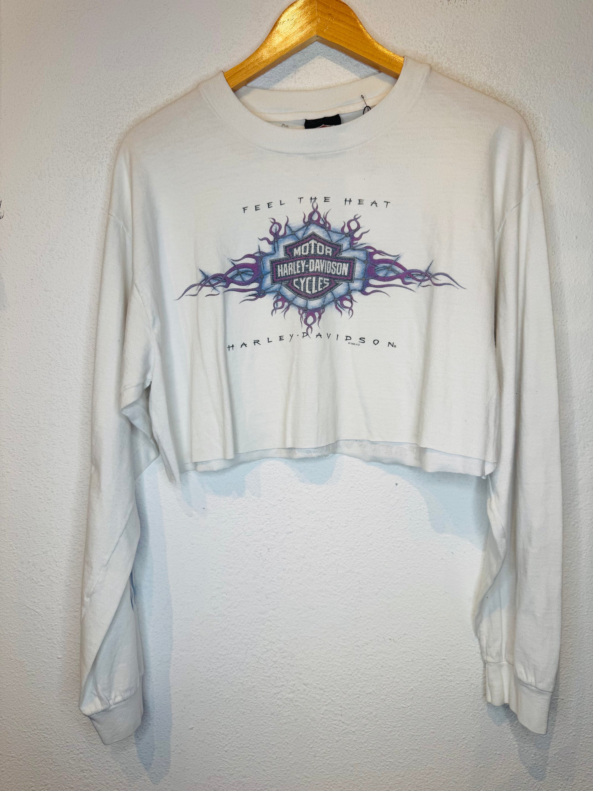 Feel the Heat Harley Vintage Crop Long Sleeve
