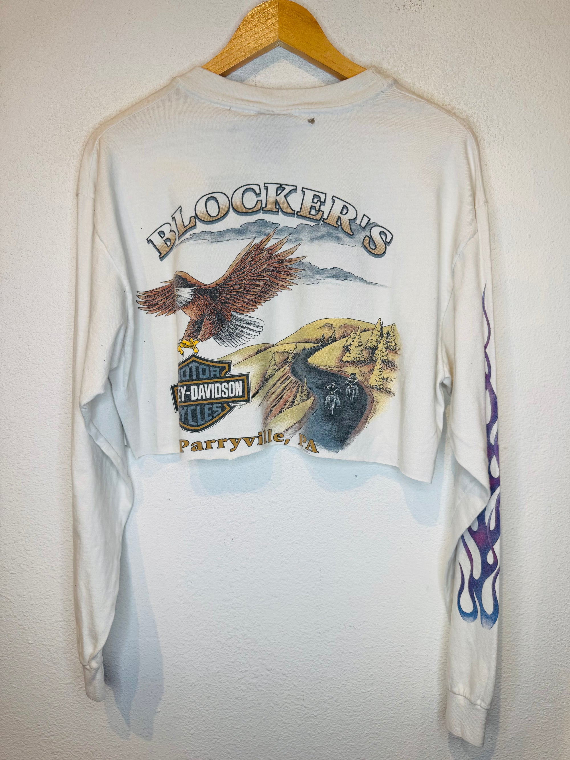 Feel the Heat Harley Vintage Crop Long Sleeve