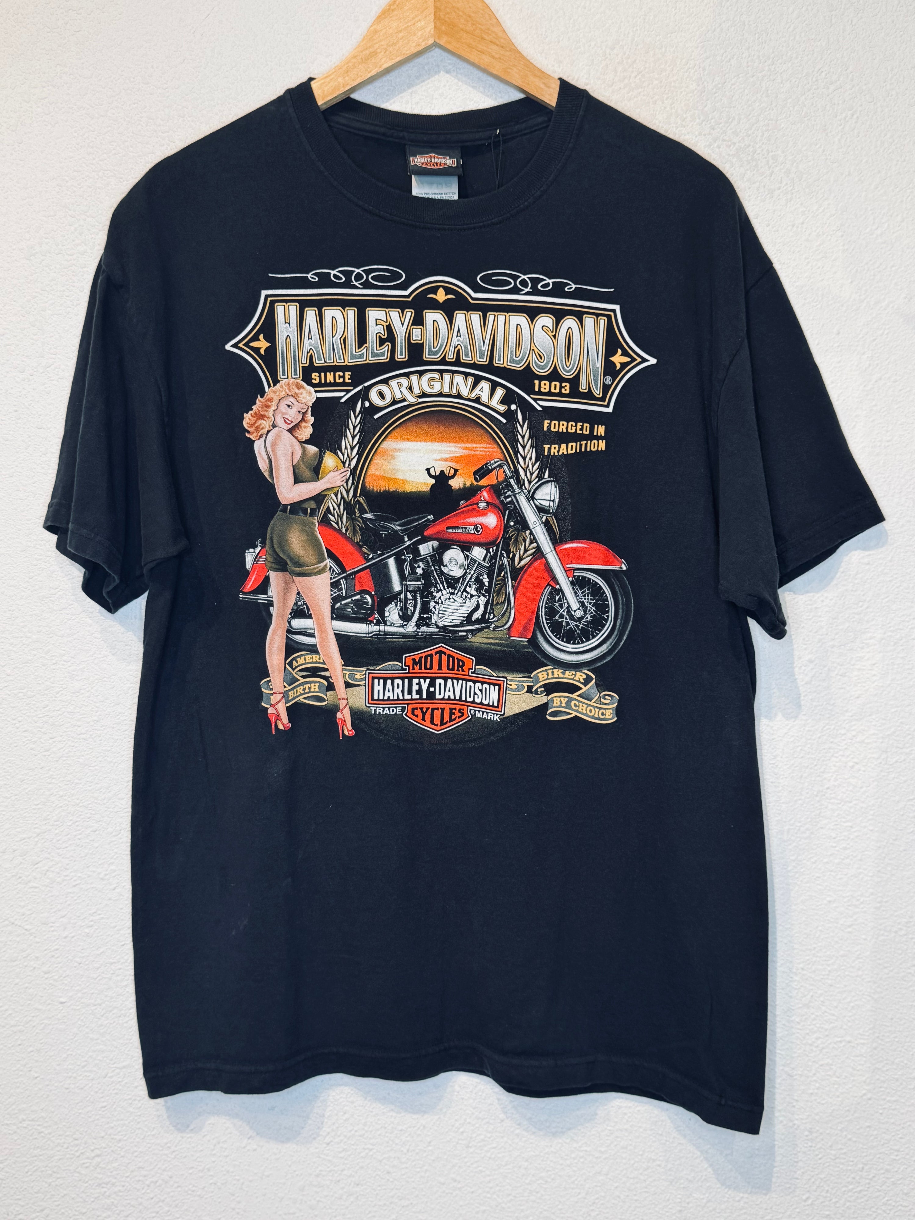 Origional Harley Vintage Tee