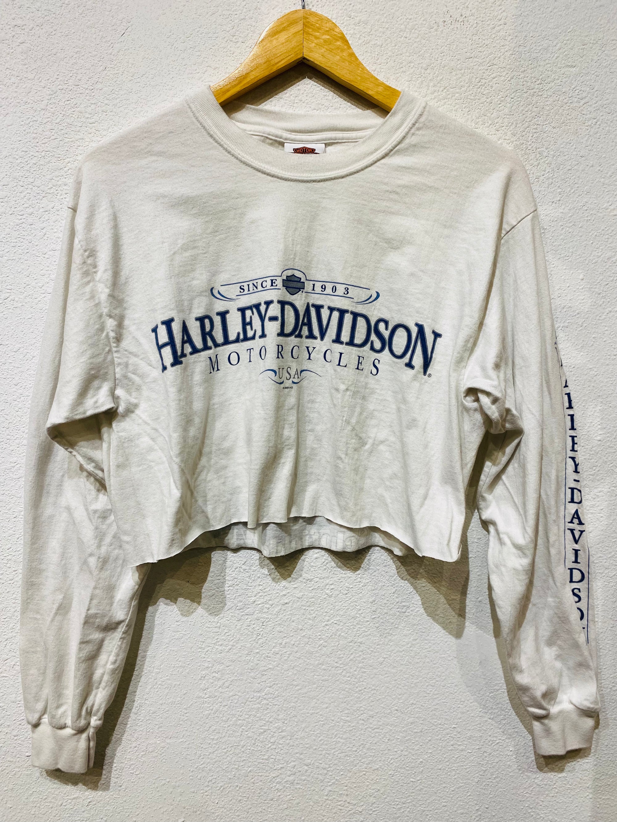 Wausau Harley Vintage Crop Long Sleeve