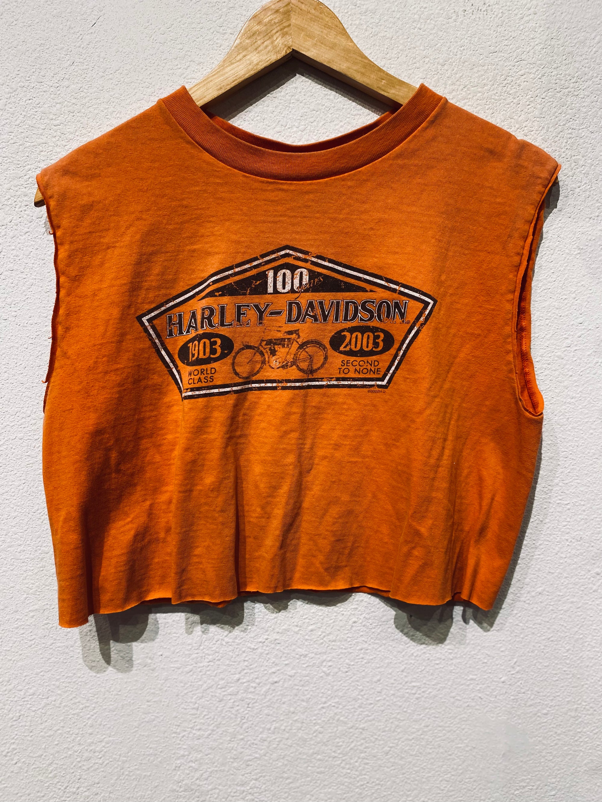 Saddleback Harley Vintage Crop Tee