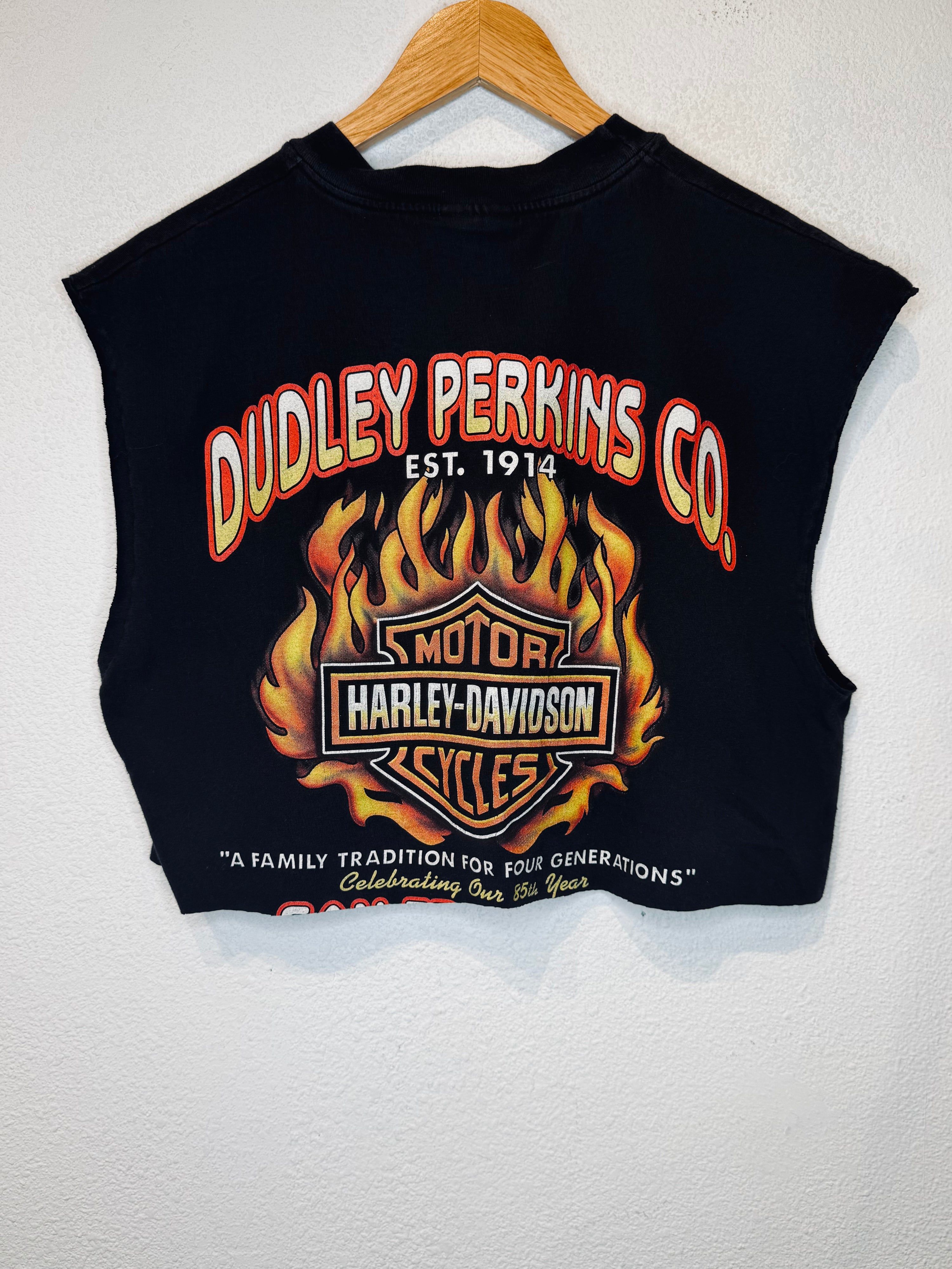Feel the Heat Harley Vintage Crop Tank