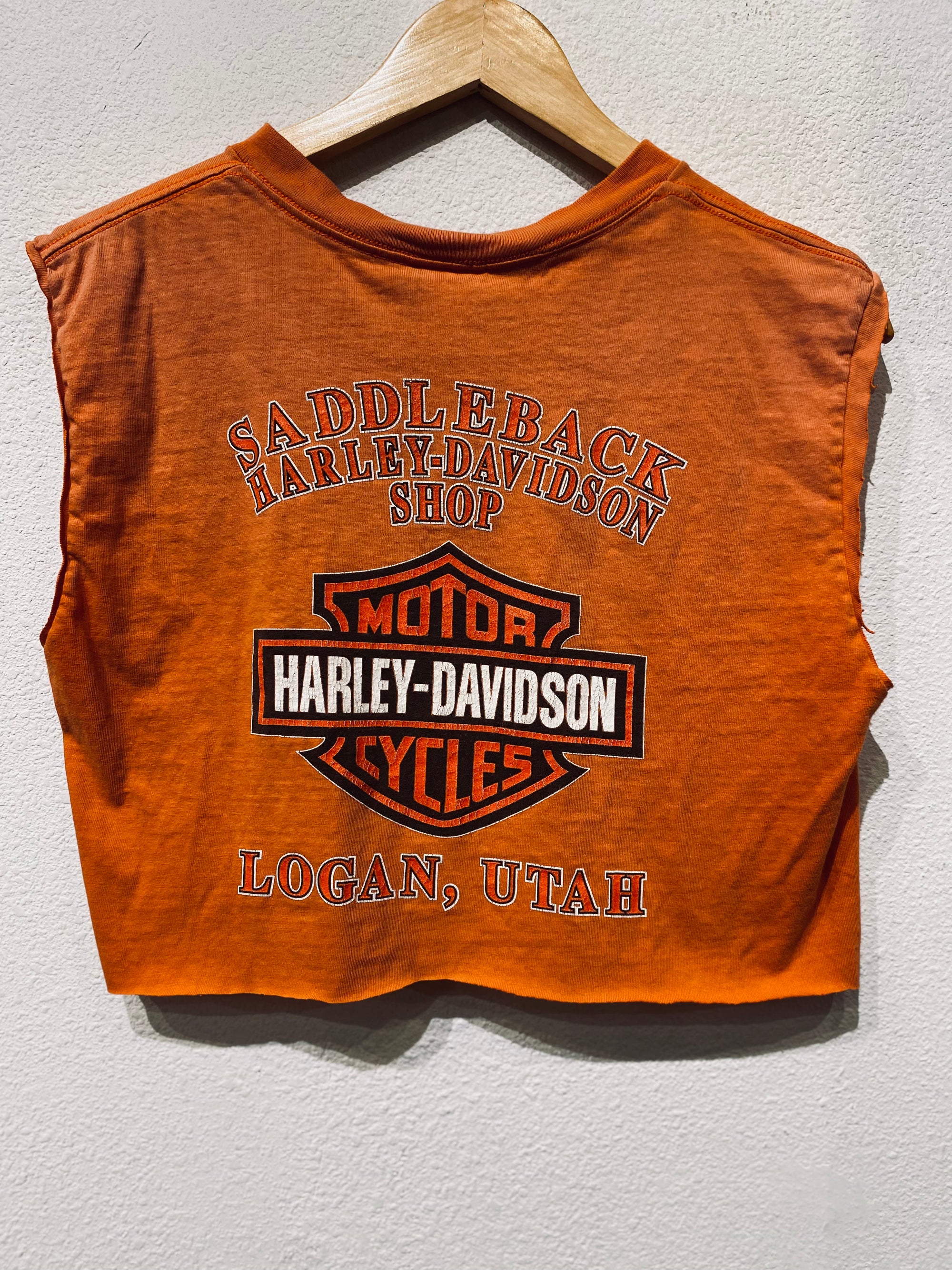 Saddleback Harley Vintage Crop Tee