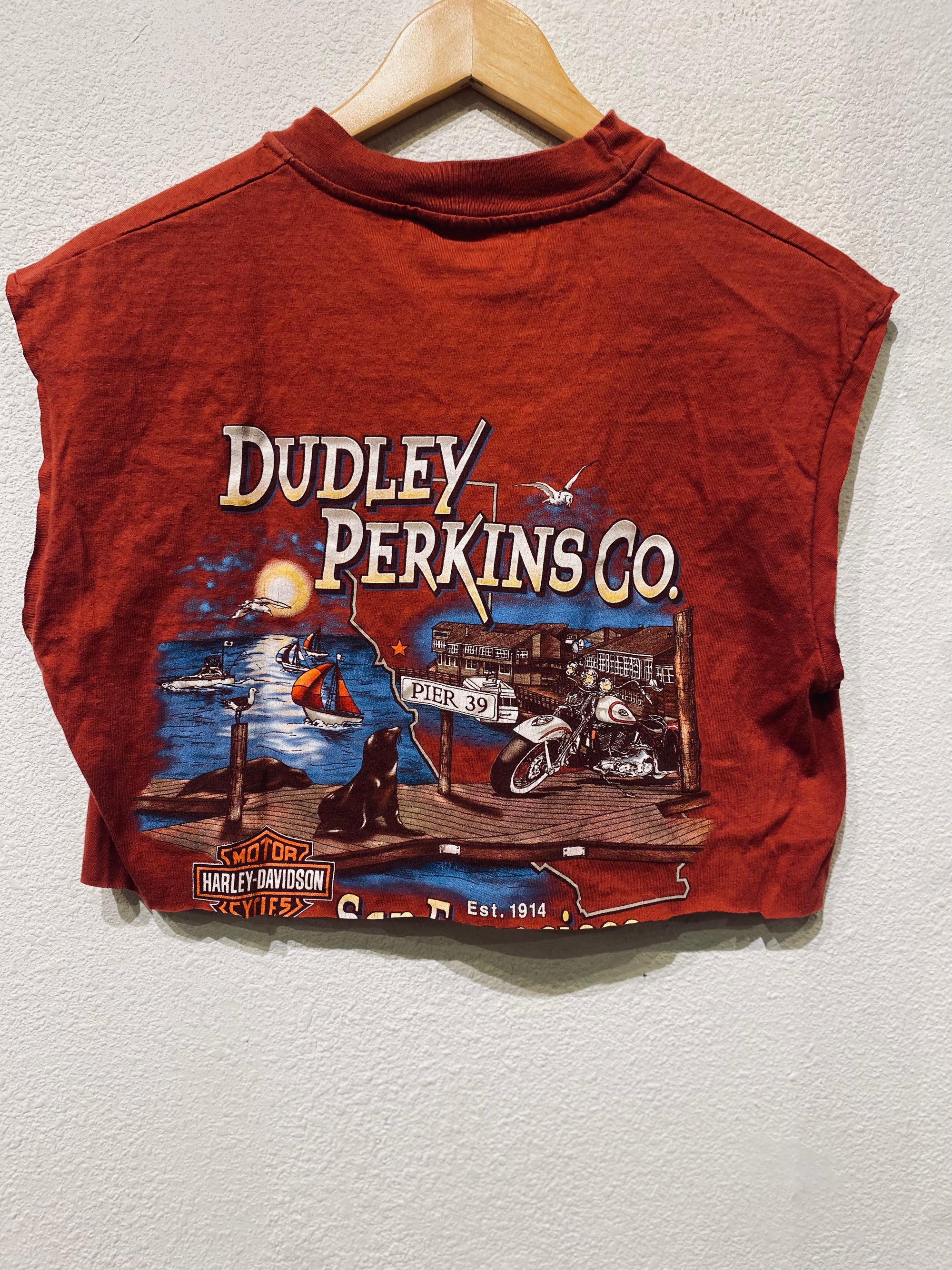 Dudley Harley Vintage Crop Tank