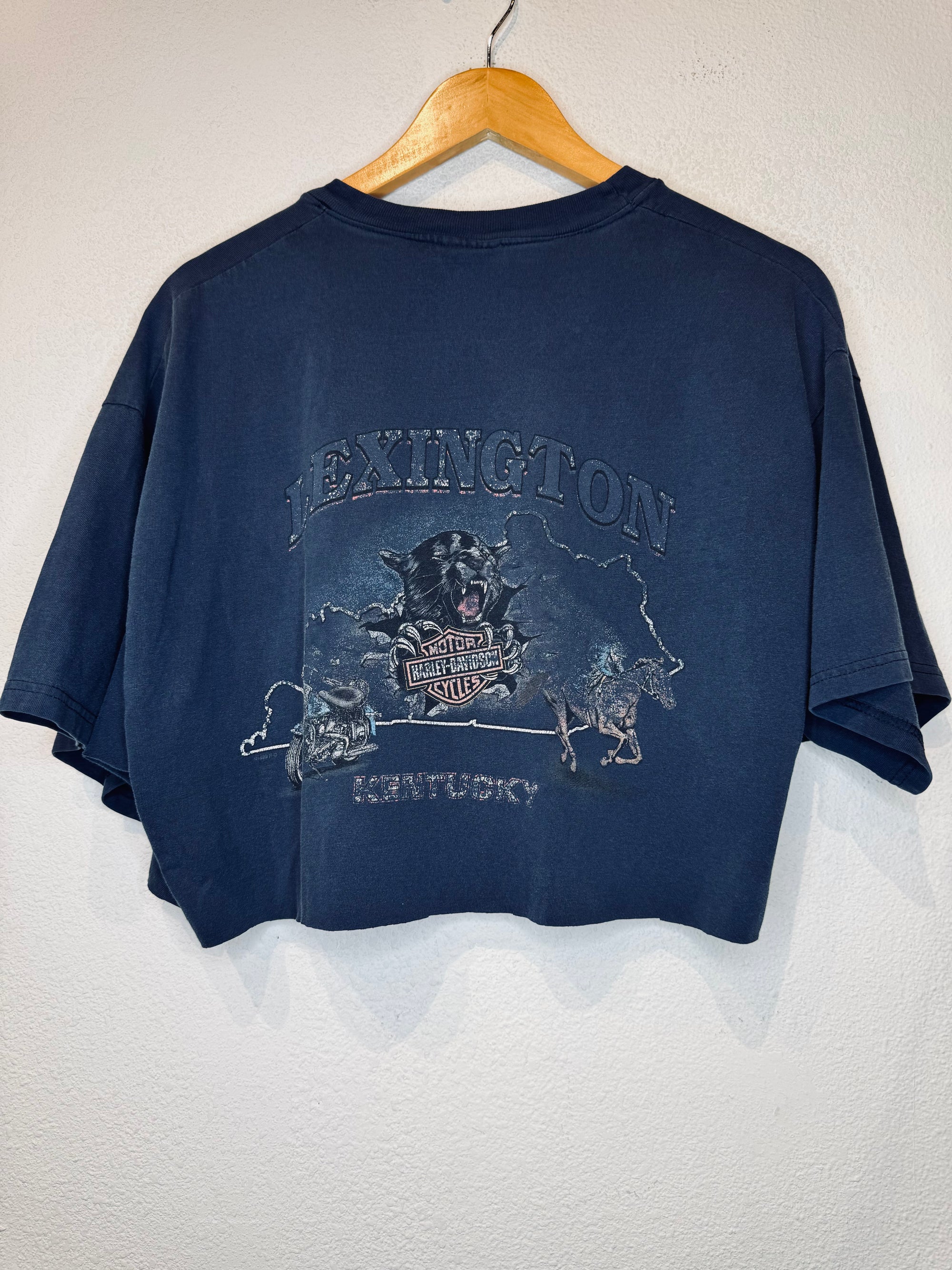 Lexington Harley Vintage Crop Tee