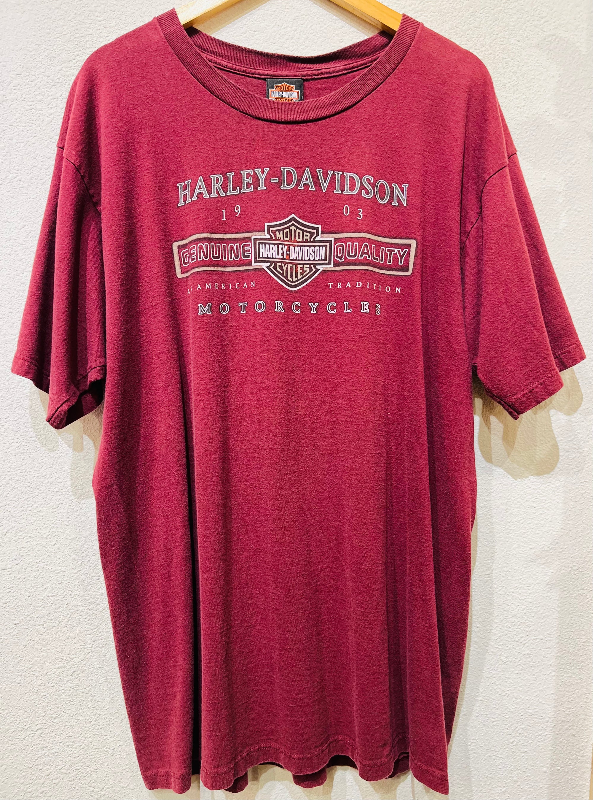 Salt Lake City Harley Vintage Tee