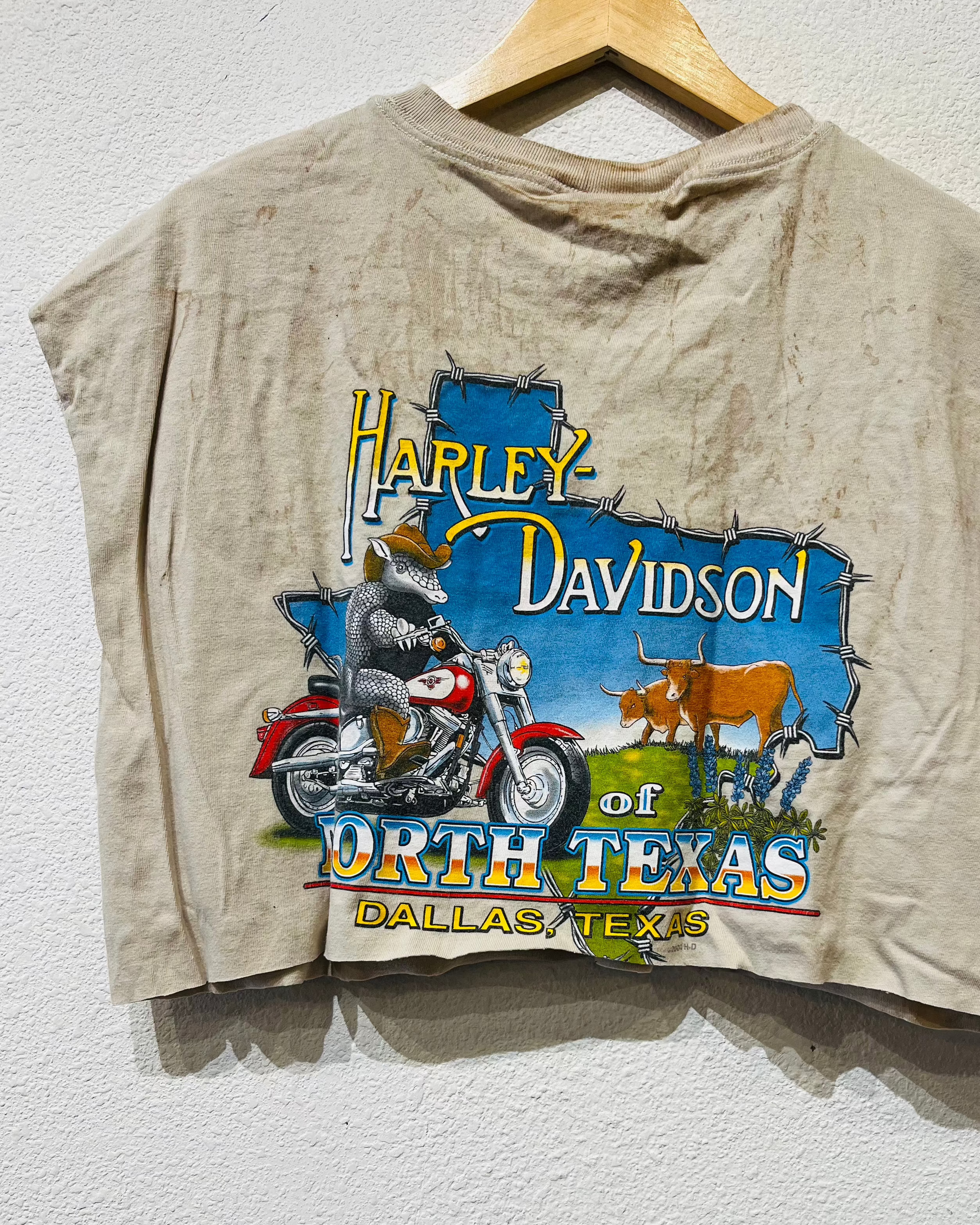 Dallas Harley Vintage Crop Tank