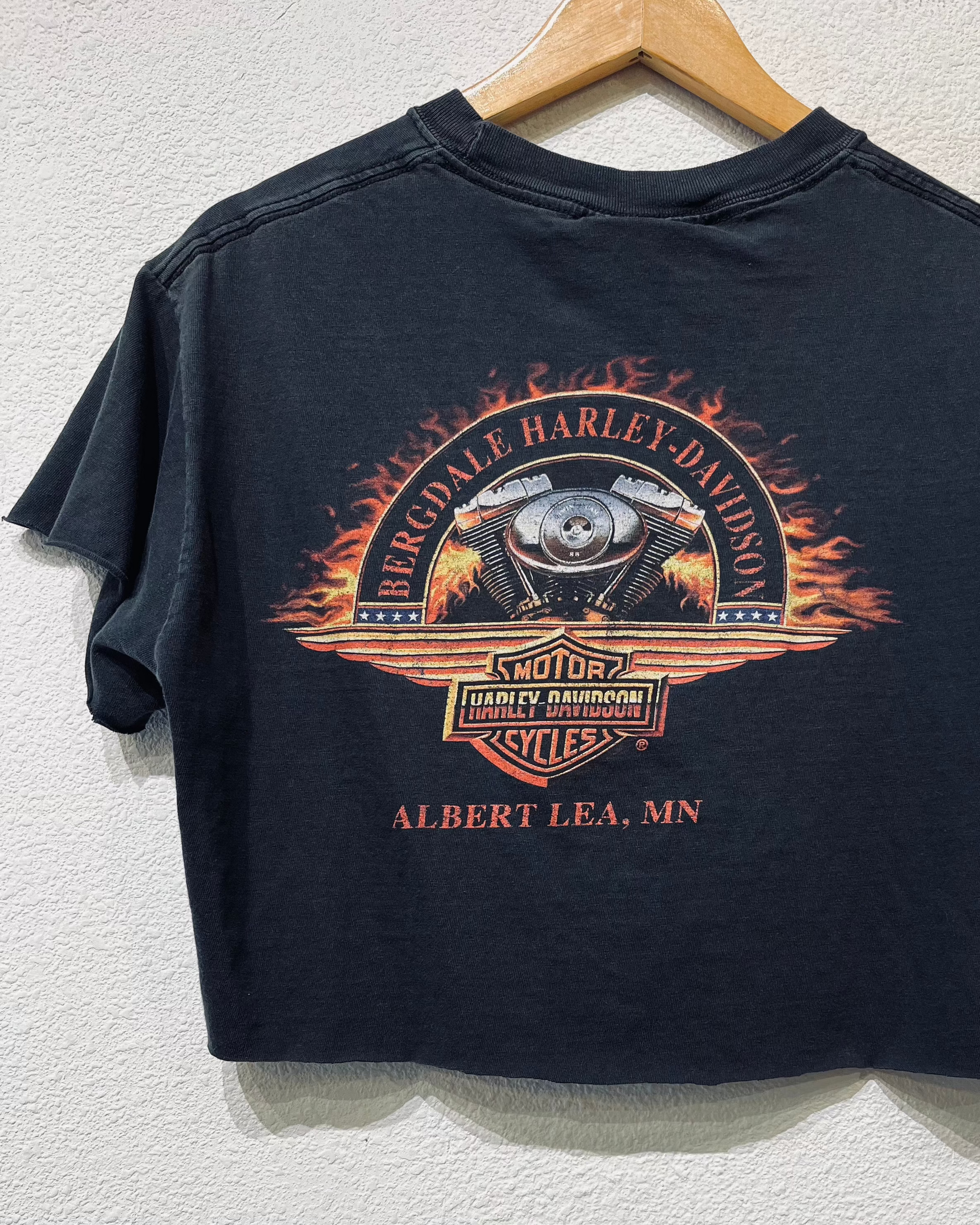 Bergdale Harley Vintage Crop Tee