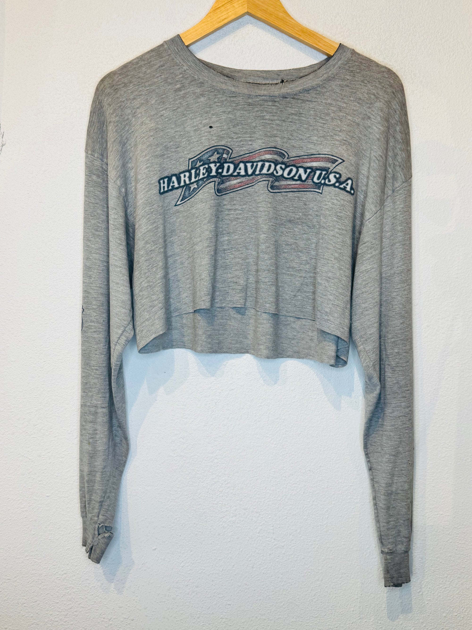Mountain Creek Harley Vintage Crop Long Sleeve