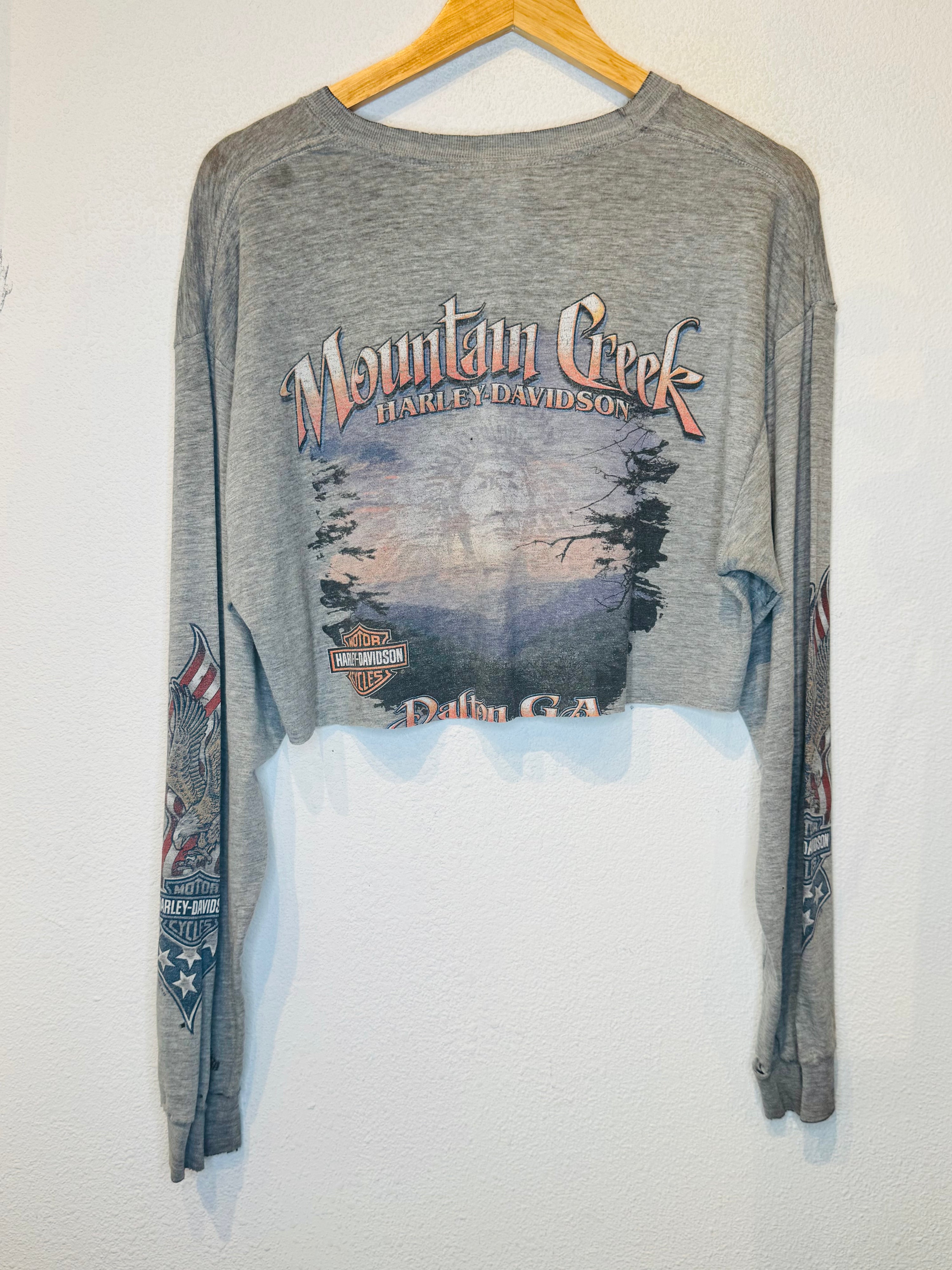 Mountain Creek Harley Vintage Crop Long Sleeve
