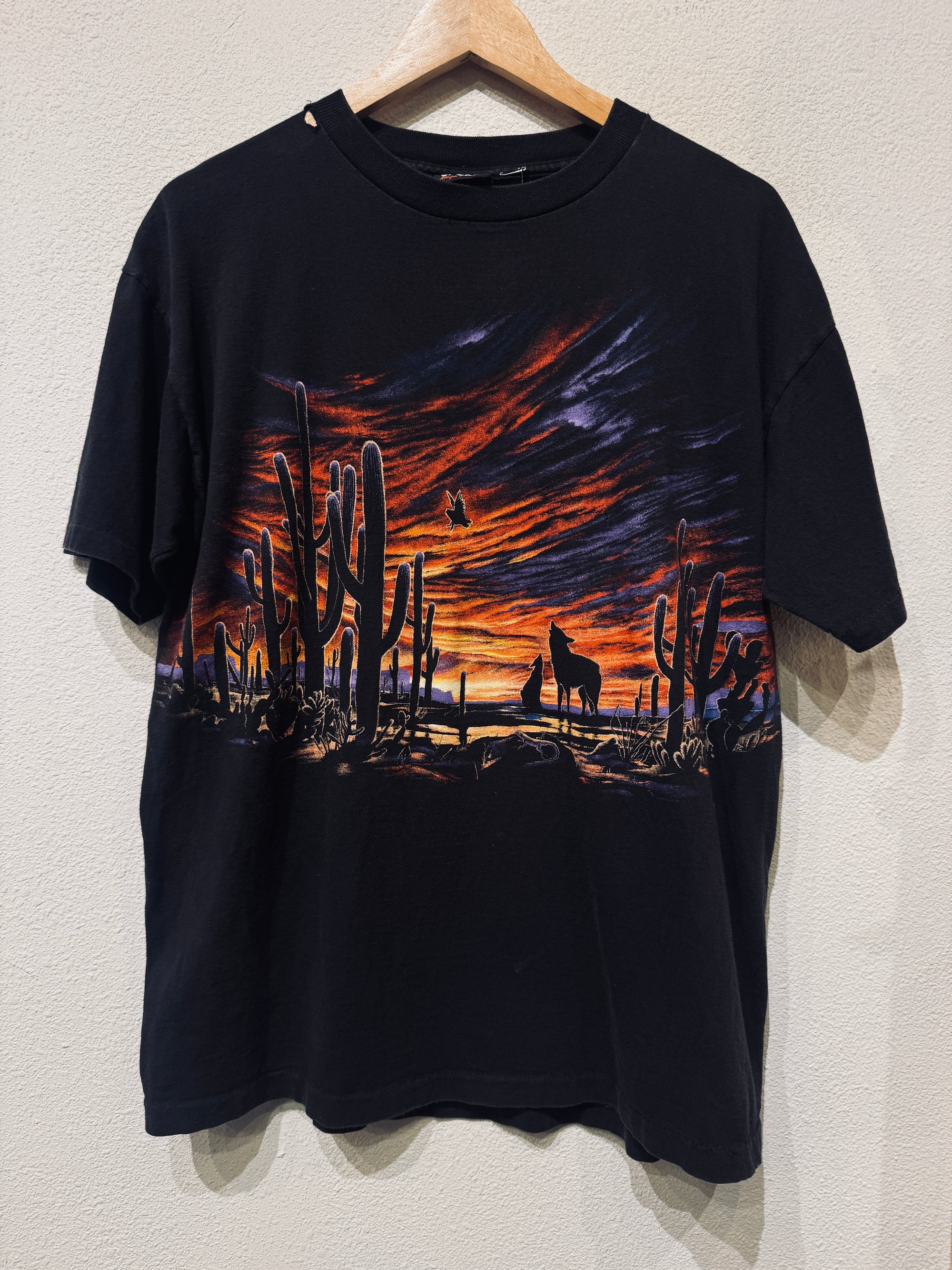 Sunset Desert Scene Vintage Tee