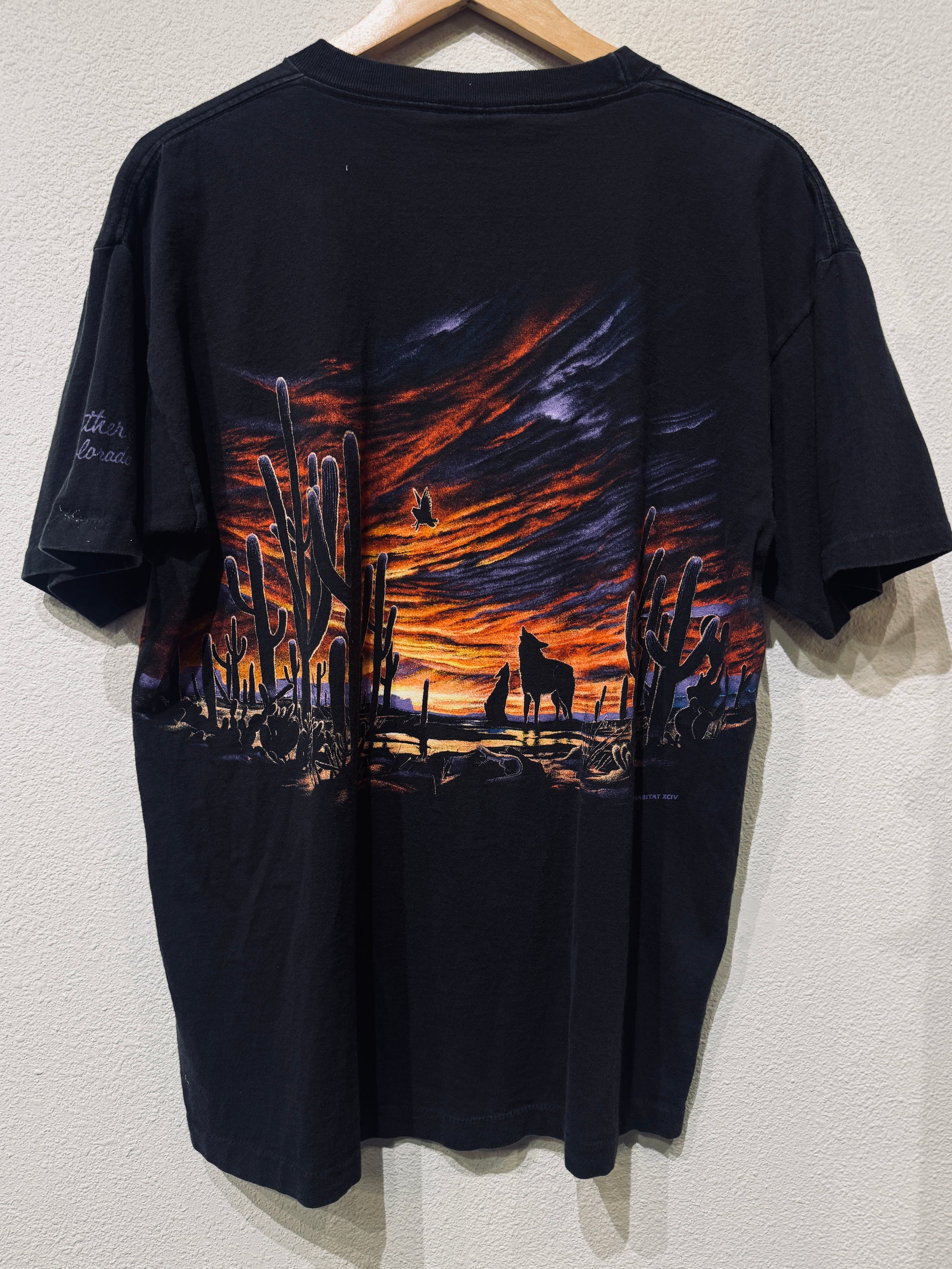Sunset Desert Scene Vintage Tee