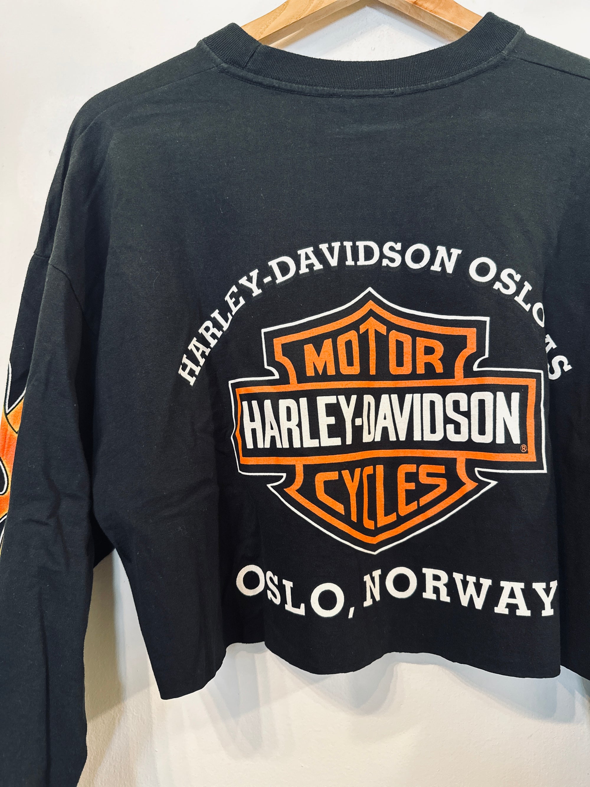 Harley Flame Vintage Crop Long Sleeve