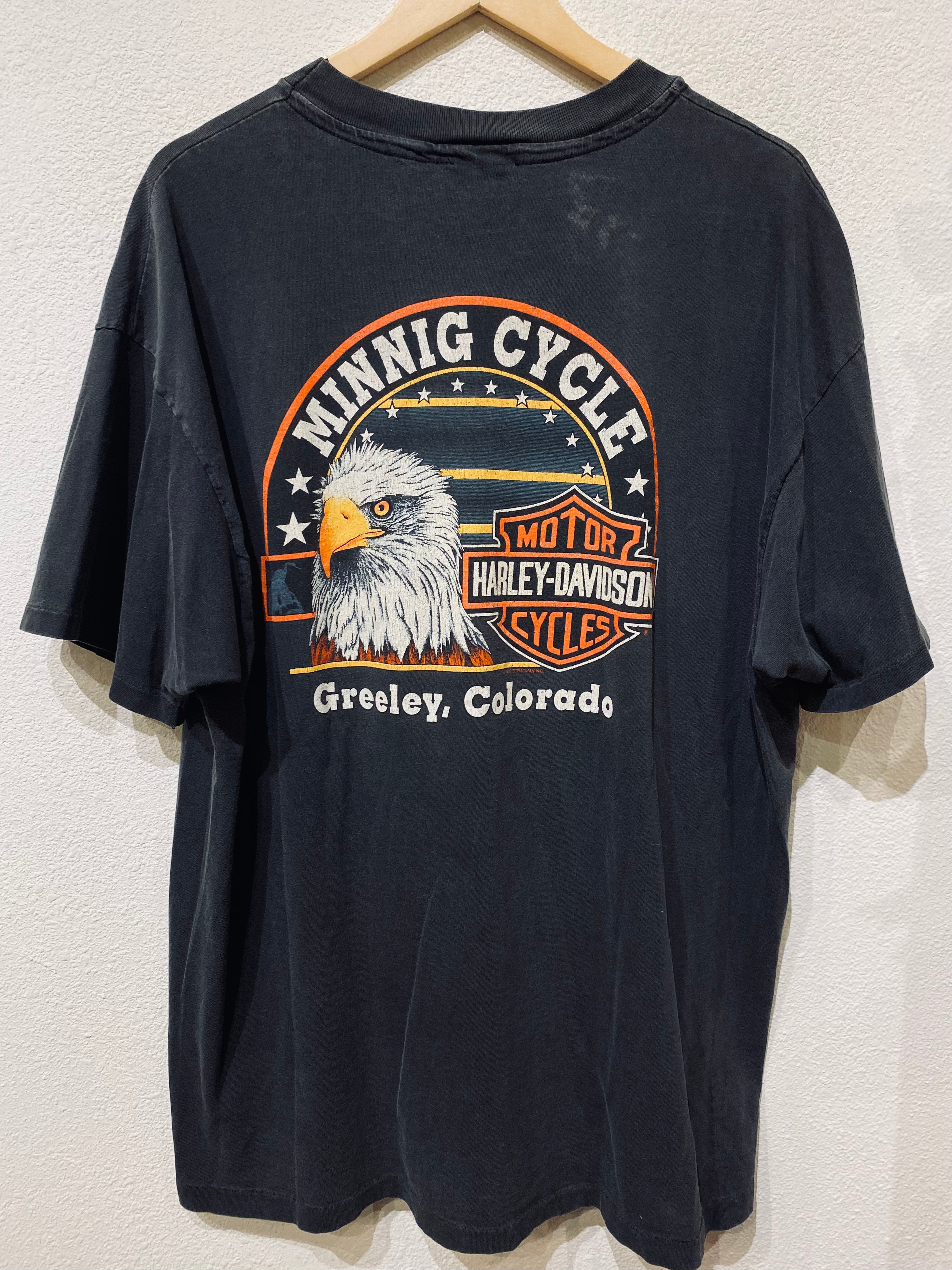 Blue Flame Harley Vintage Tee