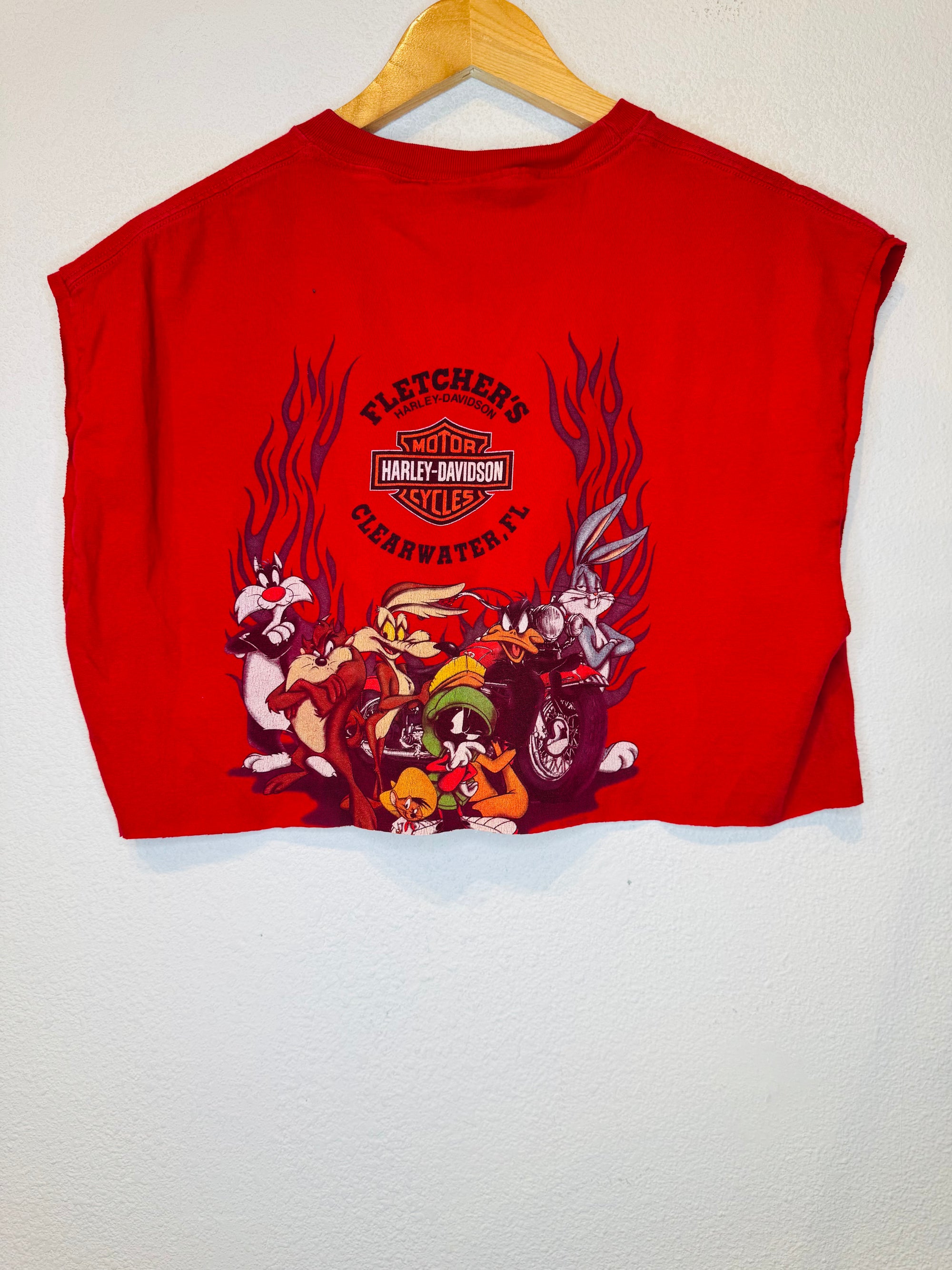 Taz Harley Vintage Crop Tank