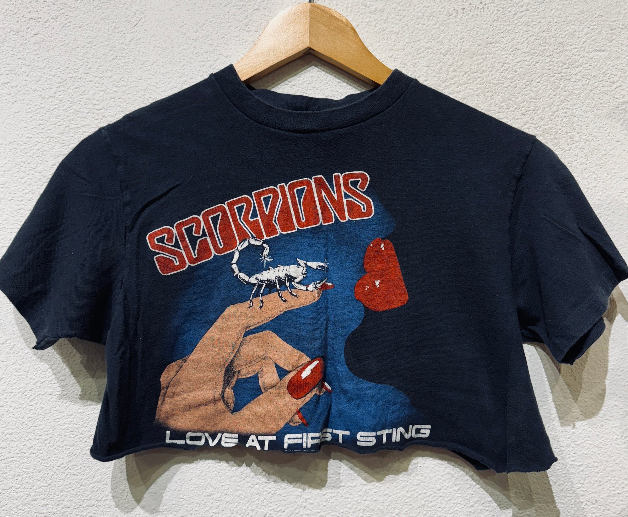 RARE Scorpions First Sting Vintage Crop Tee