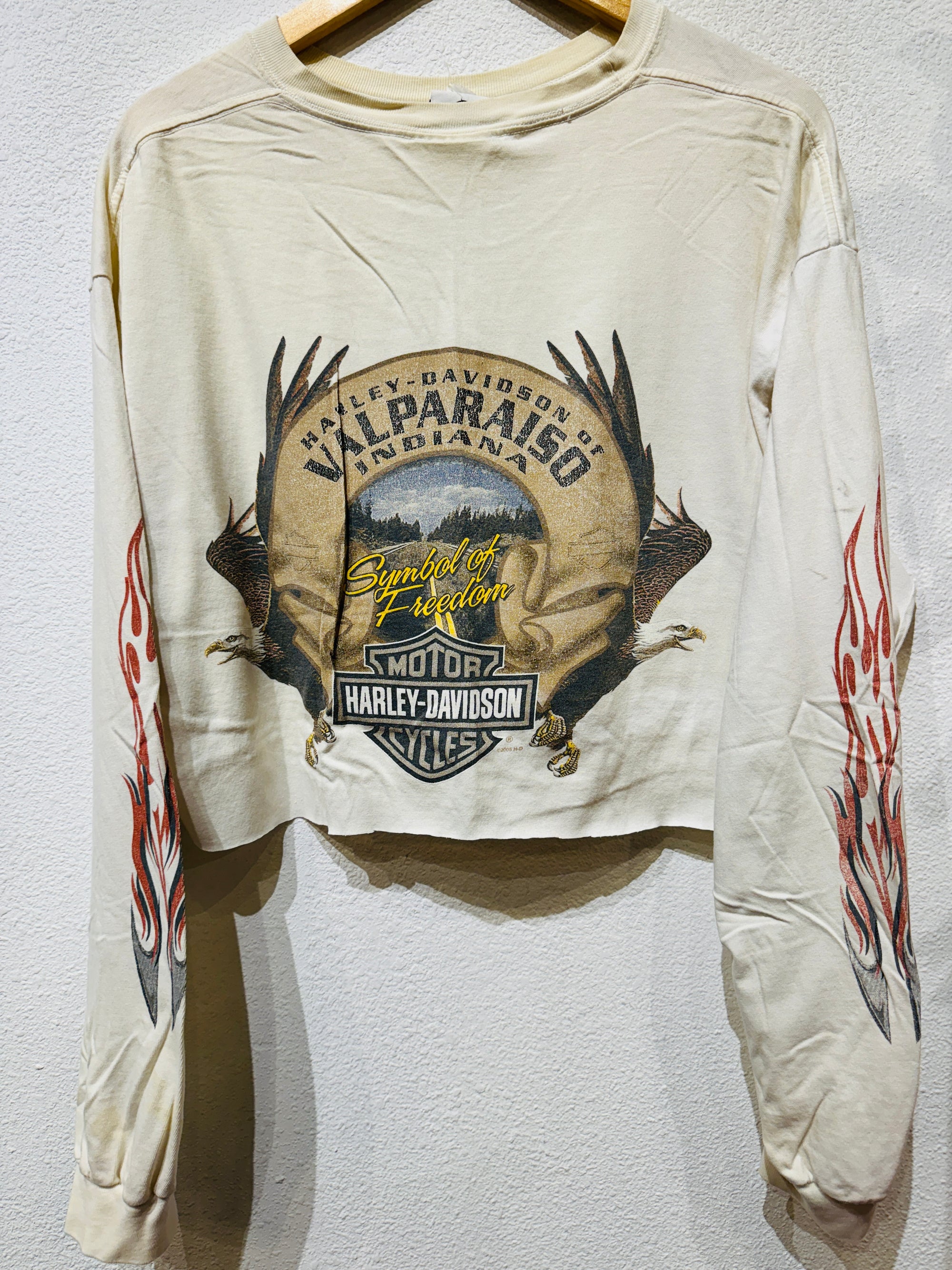 Indiana Harley Crop Vintage Long Sleeve