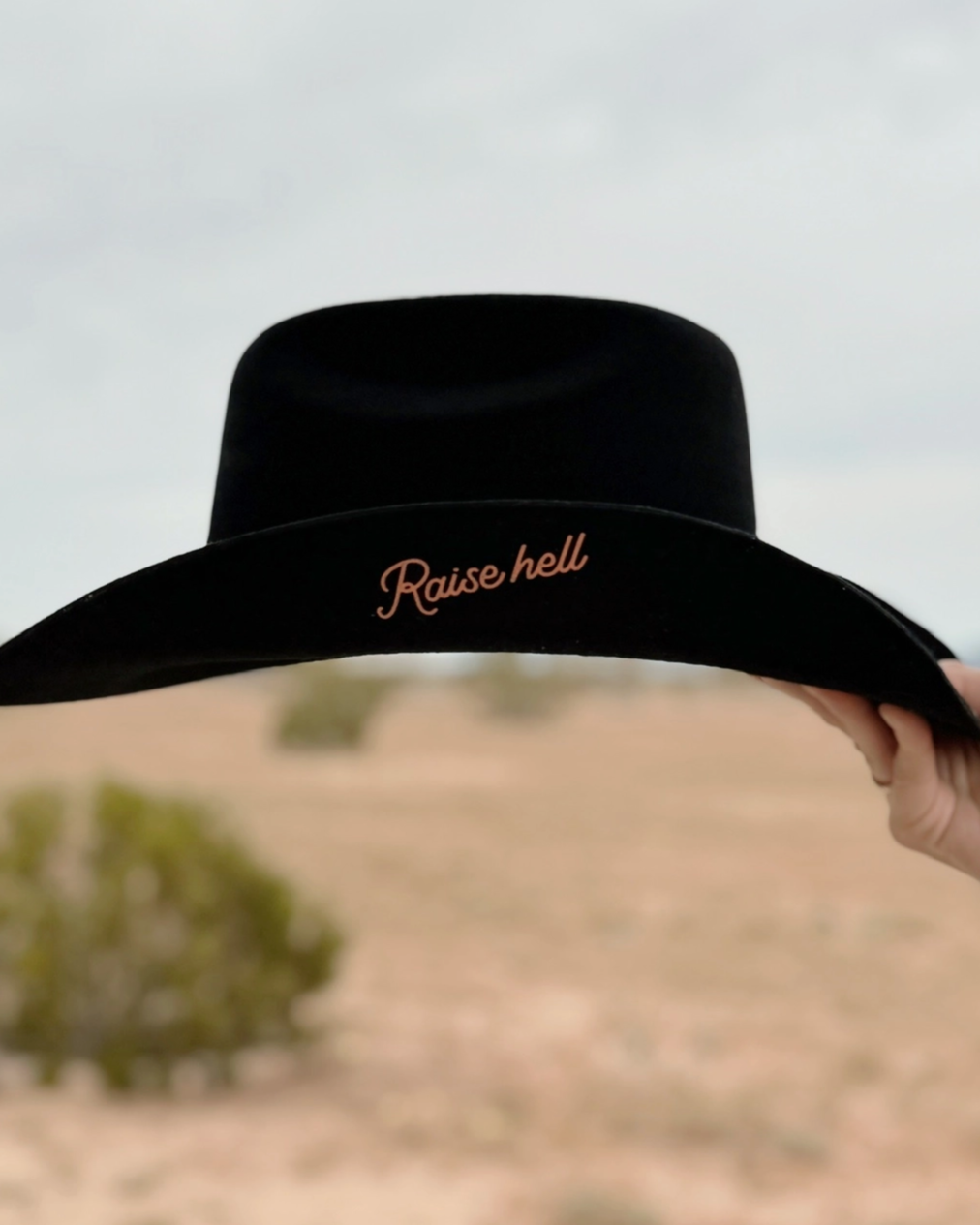 Raise Hell Cowboy Hat