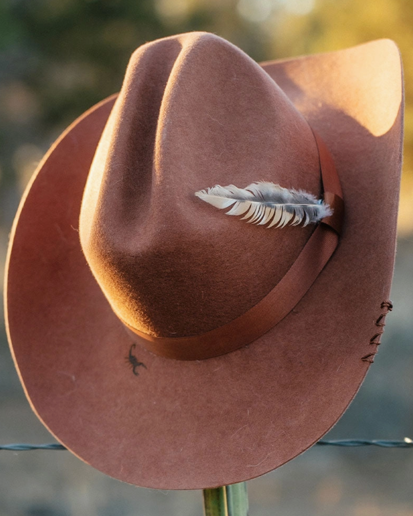 The Scorpion Cowboy Hat