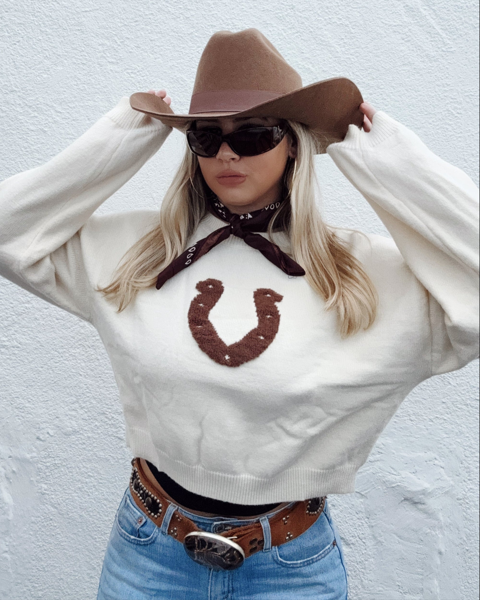 Lucky Horseshoe Cropped Sweater