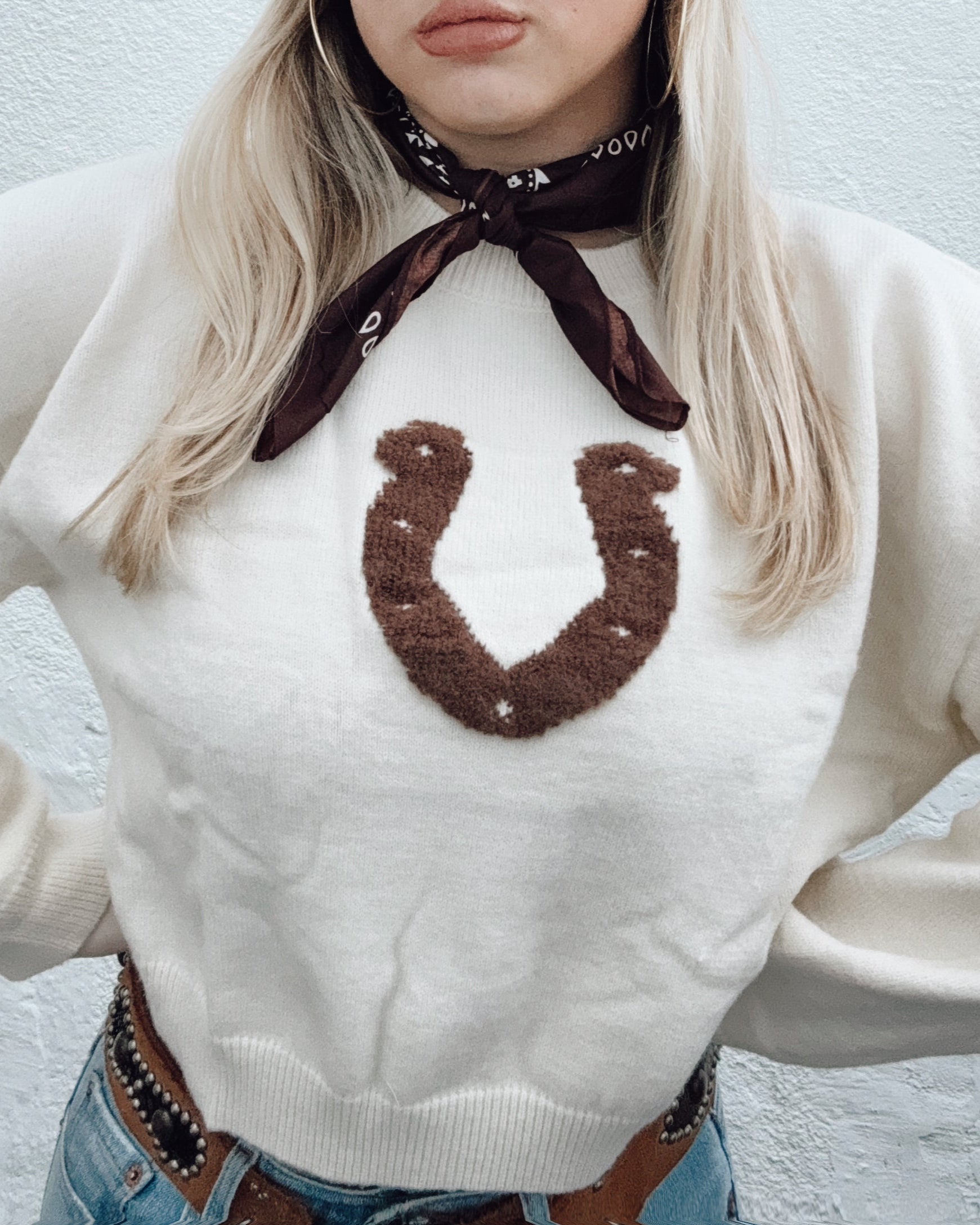 Lucky Horseshoe Cropped Sweater