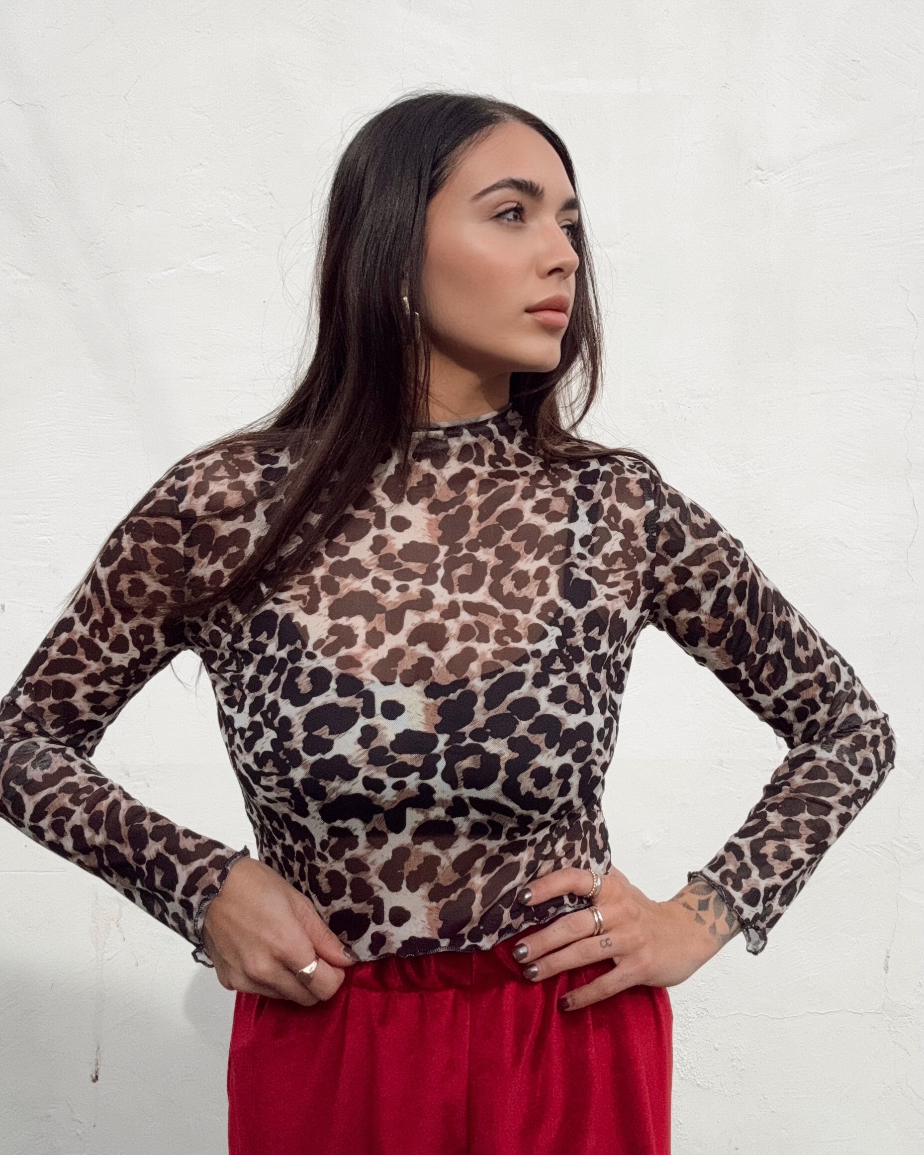 Leopard Sheer Long Sleeve