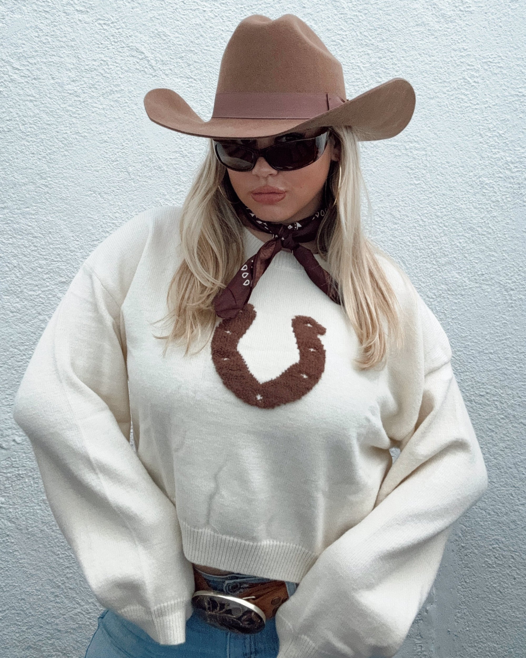 Lucky Horseshoe Cropped Sweater